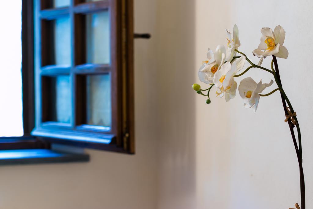 Pescaglia Casa Marta 빌라 외부 사진
