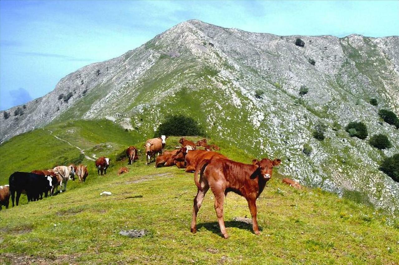 Pescaglia Casa Marta 빌라 외부 사진